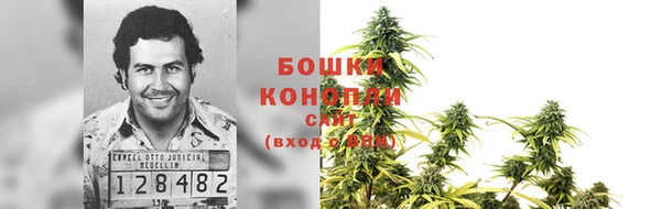 хмурый Лагань