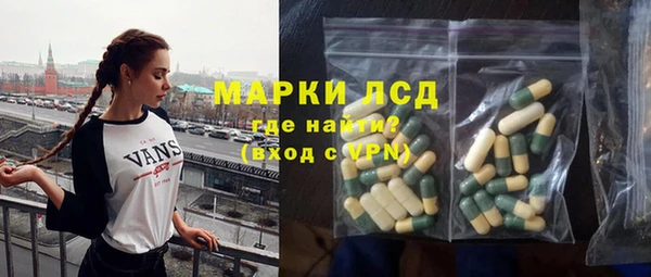 хмурый Лагань